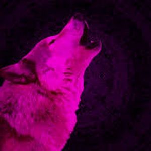 Meet your Posher, Curtis